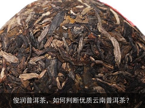俊润普洱茶，如何判断优质云南普洱茶？