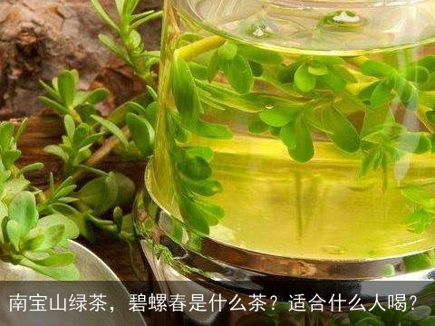 南宝山绿茶，碧螺春是什么茶？适合什么人喝？