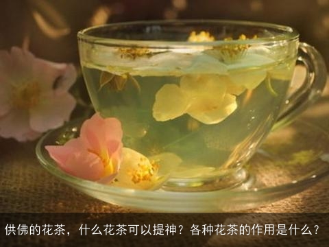 供佛的花茶，什么花茶可以提神？各种花茶的作用是什么？