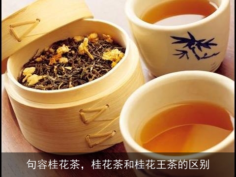 句容桂花茶，桂花茶和桂花王茶的区别