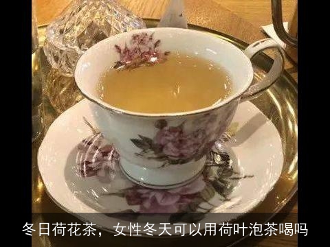 冬日荷花茶，女性冬天可以用荷叶泡茶喝吗