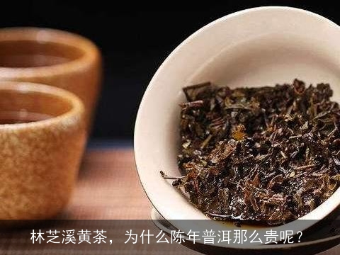 林芝溪黄茶，为什么陈年普洱那么贵呢？