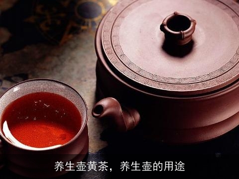 养生壶黄茶，养生壶的用途
